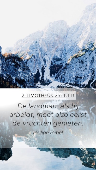 2 Timotheüs 2:6 NLD Bible Verse Image