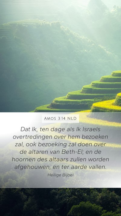 Amos 3:14 NLD Bible Verse Image