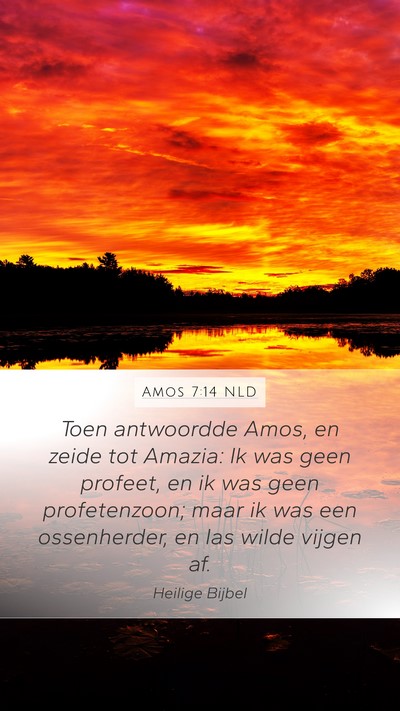 Amos 7:14 NLD Bible Verse Image