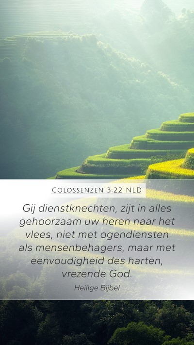 Colossenzen 3:22 NLD Bible Verse Image