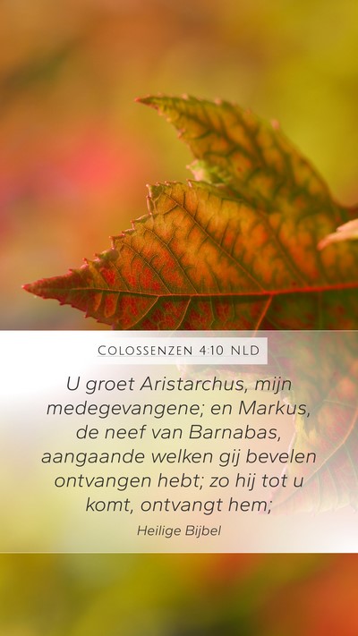 Colossenzen 4:10 NLD Bible Verse Image