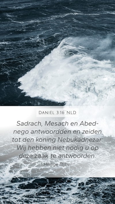 Daniël 3:16 NLD Bible Verse Image