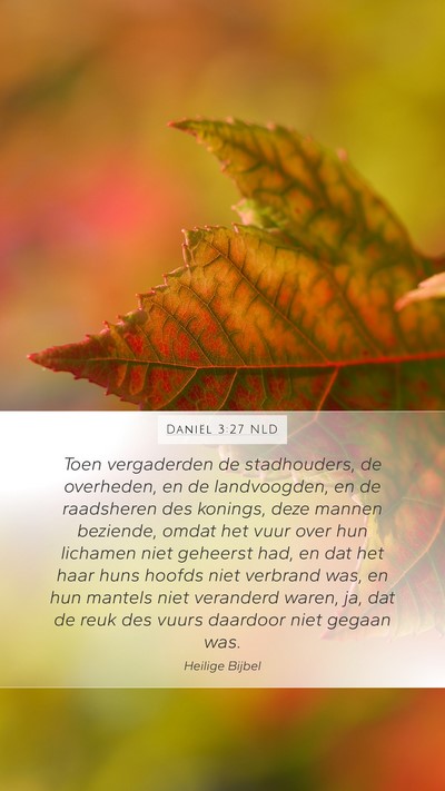 Daniël 3:27 NLD Bible Verse Image