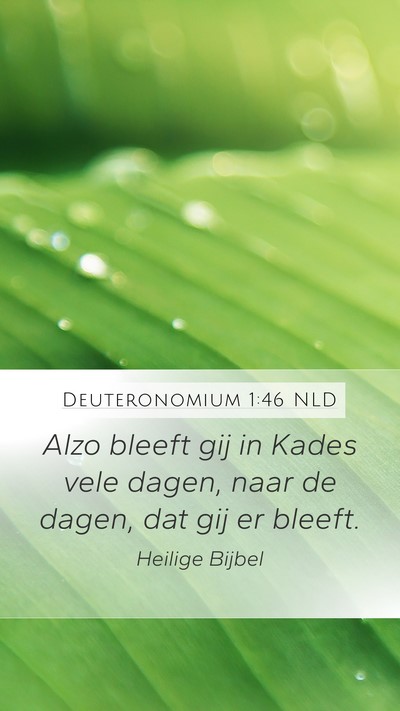 Deuteronomium 1:46 NLD Bible Verse Image