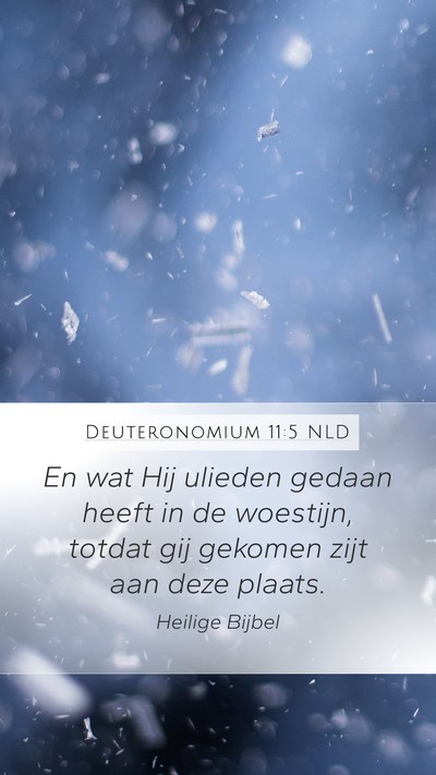 Deuteronomium 11:5 NLD Mobile Phone Wallpaper - En wat Hij ulieden gedaan heeft in de woestijn, - Mobile Bible Verse Wallpaper