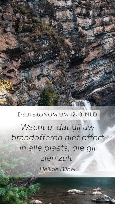 Deuteronomium 12:13 NLD Bible Verse Image