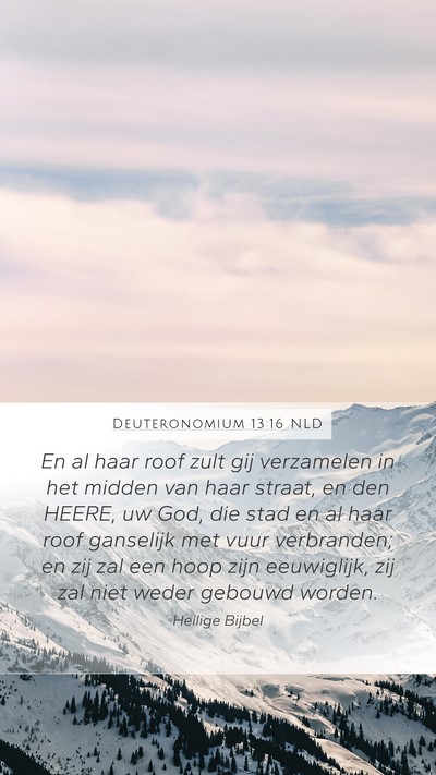Deuteronomium 13:16 NLD Bible Verse Image