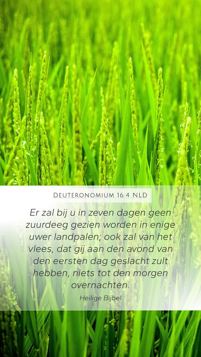 Deuteronomium 16:4 NLD Bible Verse Image