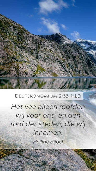 Deuteronomium 2:35 NLD Bible Verse Image