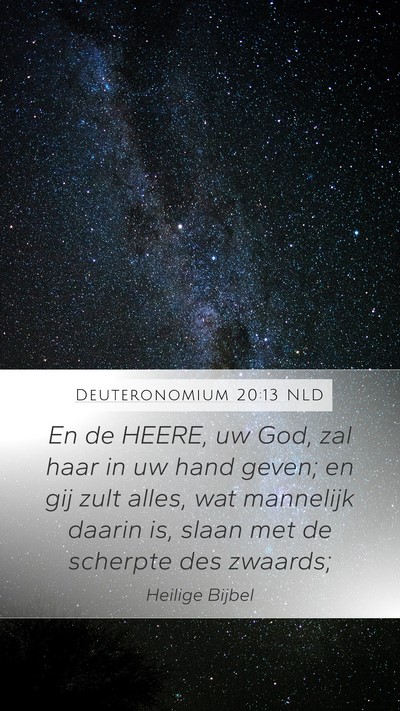 Deuteronomium 20:13 NLD Bible Verse Image