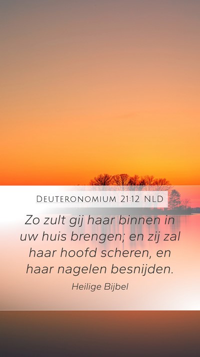 Deuteronomium 21:12 NLD Bible Verse Image