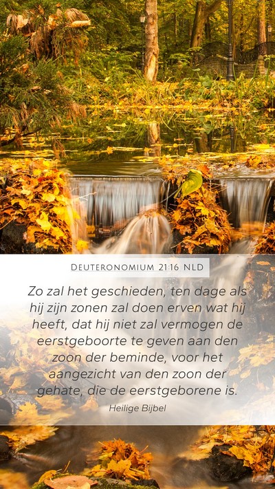 Deuteronomium 21:16 NLD Bible Verse Image
