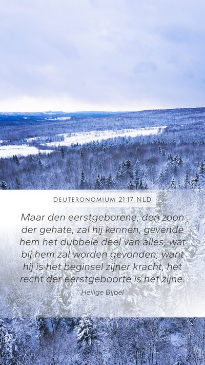 Deuteronomium 21:17 NLD Bible Verse Image