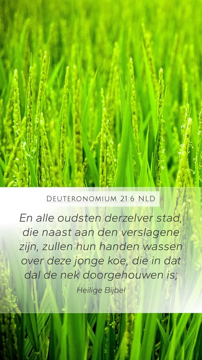 Deuteronomium 21:6 NLD Bible Verse Image