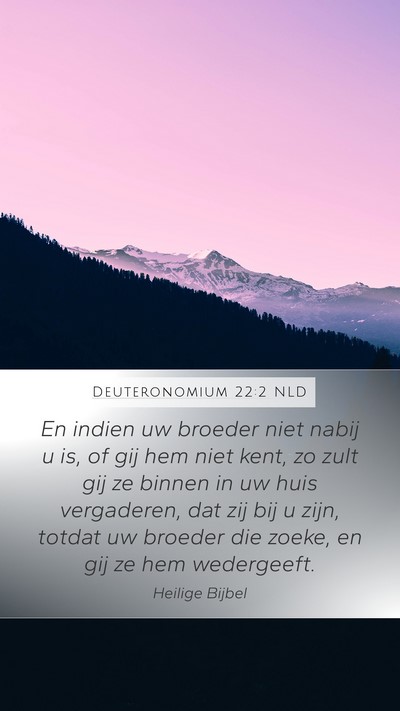 Deuteronomium 22:2 NLD Mobile Phone Wallpaper - En indien uw broeder niet nabij u is, of gij hem - Mobile Bible Verse Wallpaper