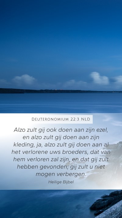 Deuteronomium 22:3 NLD Bible Verse Image