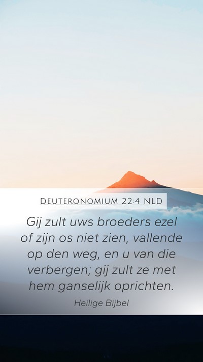 Deuteronomium 22:4 NLD Bible Verse Image