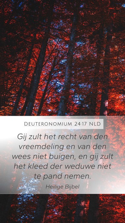 Deuteronomium 24:17 NLD Bible Verse Image