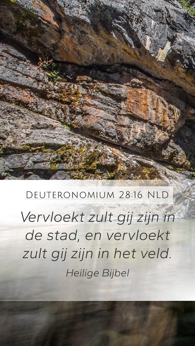 Deuteronomium 28:16 NLD Mobile Phone Wallpaper - Vervloekt zult gij zijn in de stad, en vervloekt - Mobile Bible Verse Wallpaper
