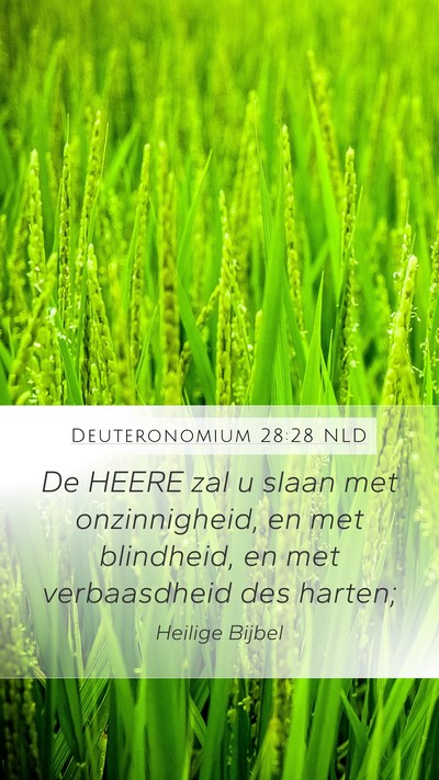 Deuteronomium 28:28 NLD Bible Verse Image