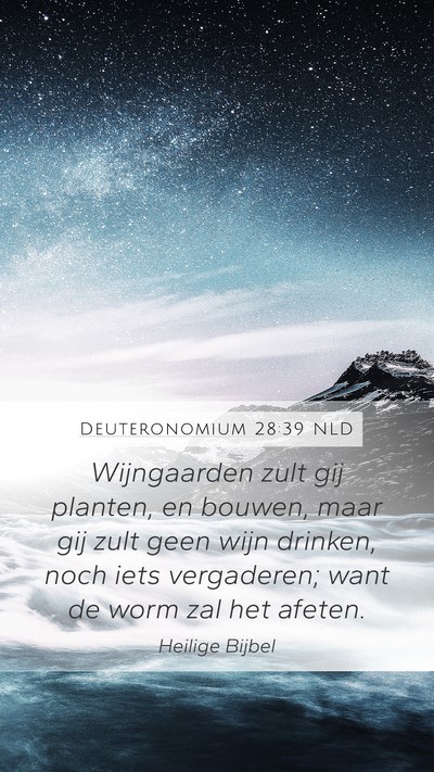 Deuteronomium 28:39 NLD Bible Verse Image