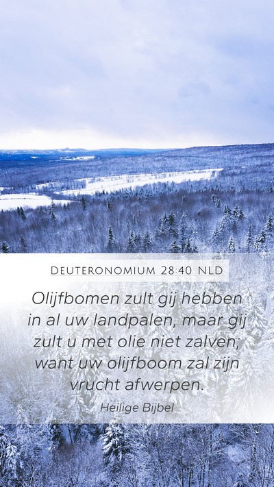 Deuteronomium 28:40 NLD Bible Verse Image