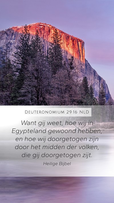 Deuteronomium 29:16 NLD Bible Verse Image