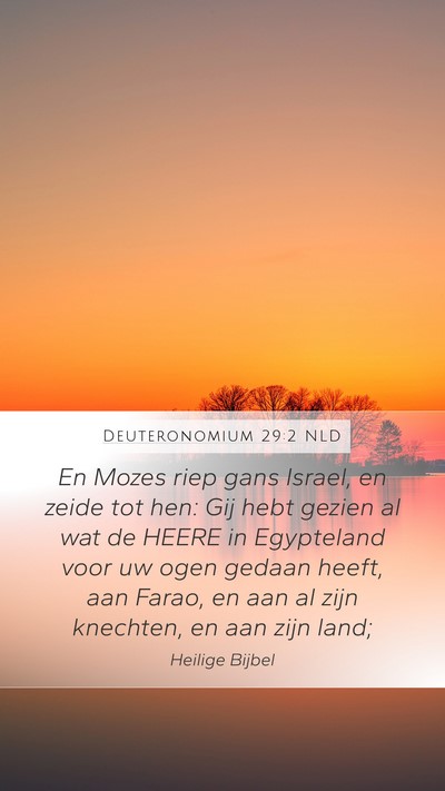 Deuteronomium 29:2 NLD Bible Verse Image