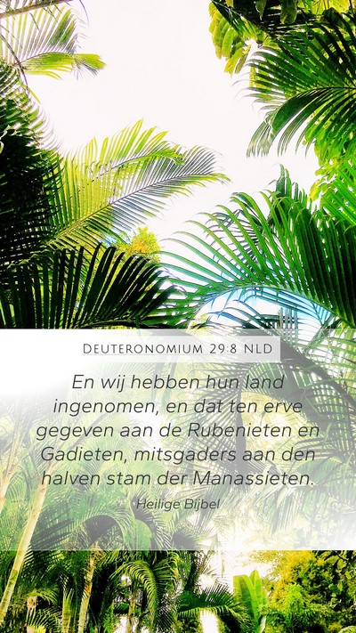 Deuteronomium 29:8 NLD Bible Verse Image