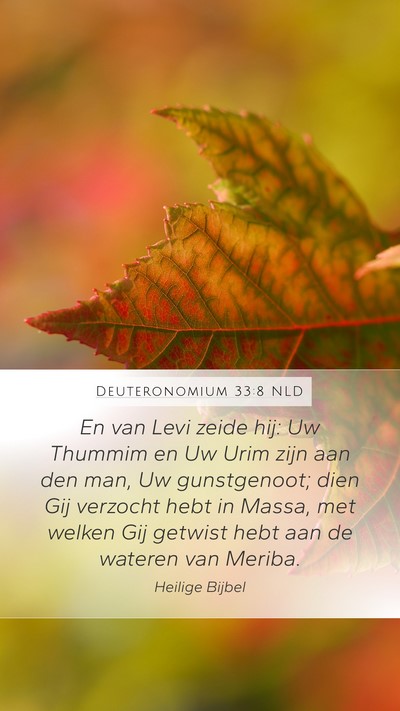 Deuteronomium 33:8 NLD Bible Verse Image