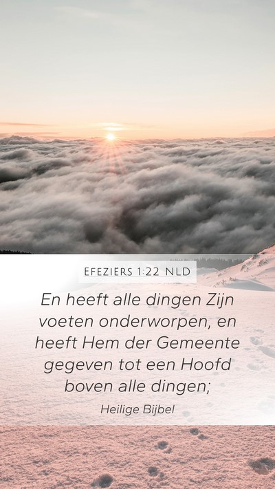Efeziërs 1:22 NLD Bible Verse Image