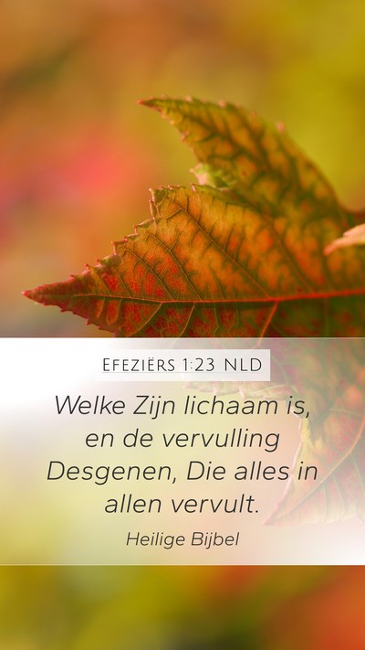 Efeziërs 1:23 NLD Bible Verse Image