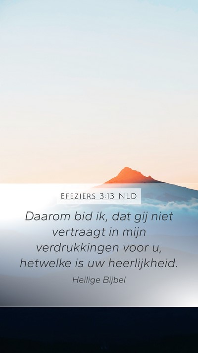Efeziërs 3:13 NLD Bible Verse Image