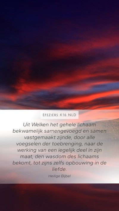 Efeziërs 4:16 NLD Bible Verse Image