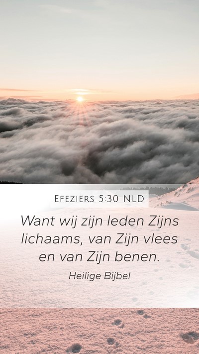 Efeziërs 5:30 NLD Bible Verse Image