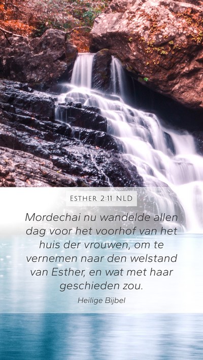 Esther 2:11 NLD Mobile Phone Wallpaper - Mordechai nu wandelde allen dag voor het voorhof - Mobile Bible Verse Wallpaper