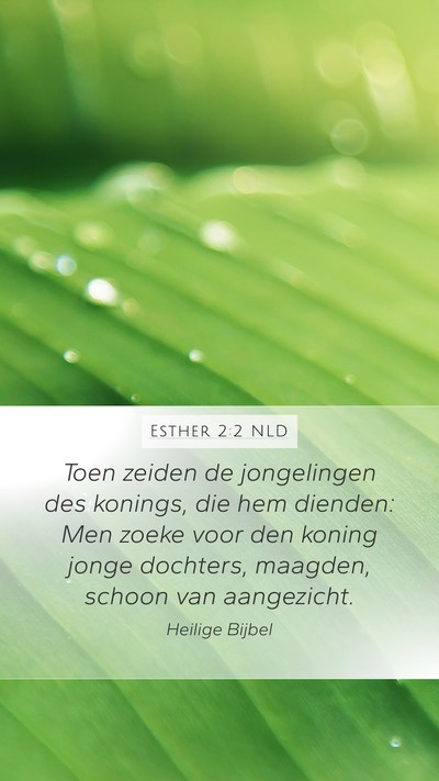 Esther 2:2 NLD Bible Verse Image