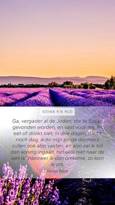 Esther 4:16 NLD Bible Verse Image