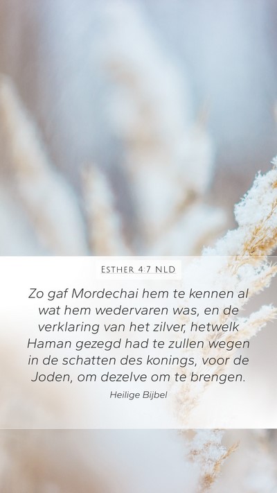Esther 4:7 NLD Bible Verse Image