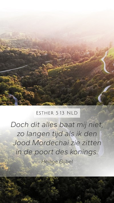 Esther 5:13 NLD Bible Verse Image