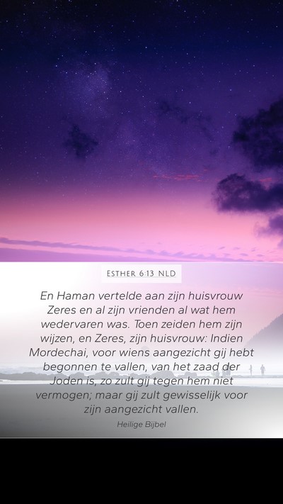 Esther 6:13 NLD Bible Verse Image