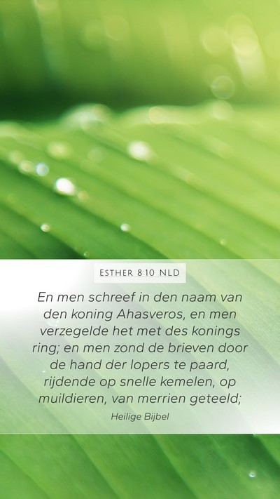 Esther 8:10 NLD Bible Verse Image