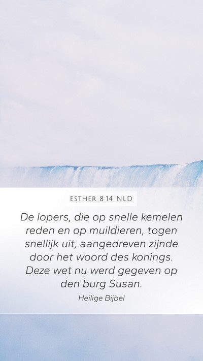 Esther 8:14 NLD Bible Verse Image