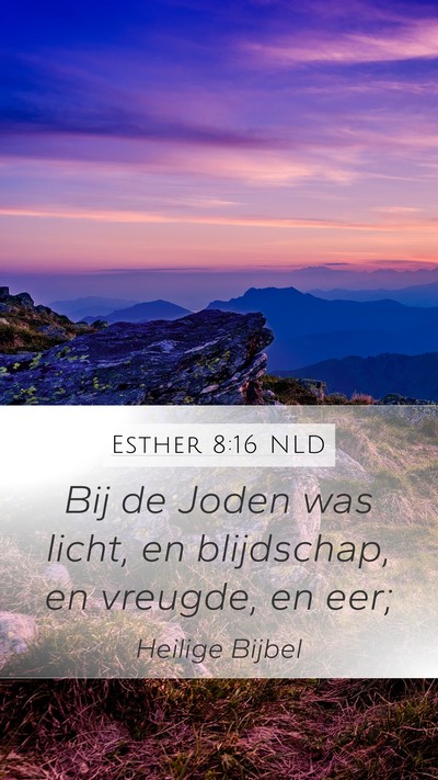 Esther 8:16 NLD Bible Verse Image