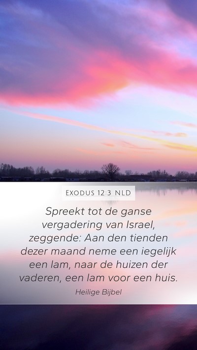 Exodus 12:3 NLD Bible Verse Image