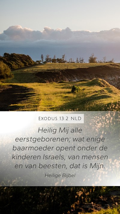 Exodus 13:2 NLD Bible Verse Image