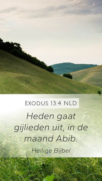Exodus 13:4 NLD Bible Verse Image