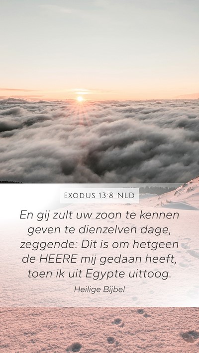 Exodus 13:8 NLD Bible Verse Image