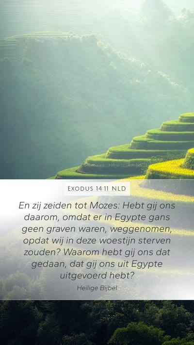 Exodus 14:11 NLD Bible Verse Image