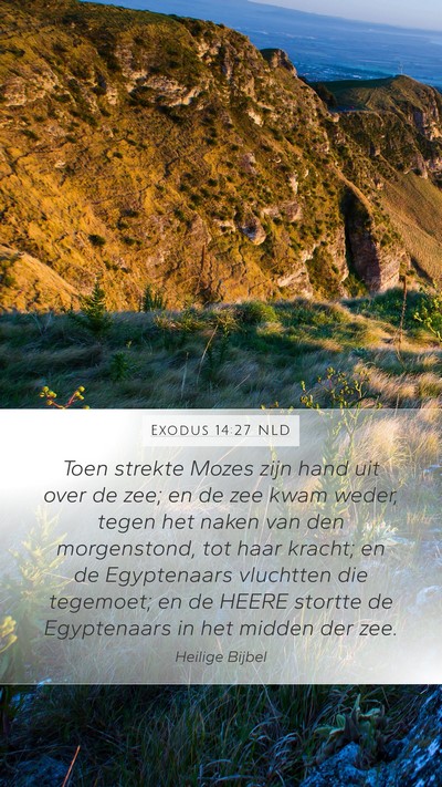Exodus 14:27 NLD Bible Verse Image